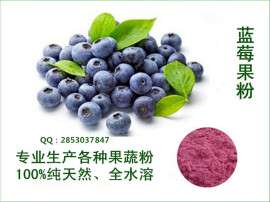 蓝莓提取物   蓝莓浸膏粉  蓝莓粉100%水溶性浆果之王
